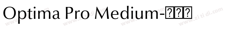 Optima Pro Medium字体转换